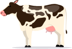 Cow